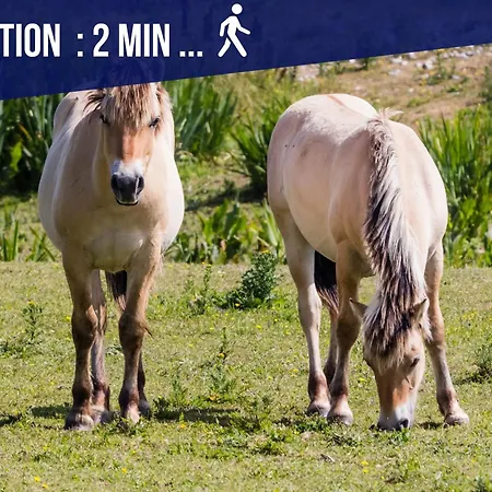 Le Tiny En Baie - Wifi - Exceptionnel *