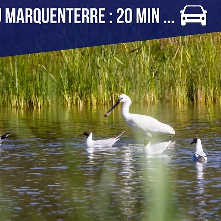 Le Tiny En Baie - Wifi - Exceptionnel Mons-Boubert